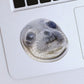 Awkward Seal Meme Sticker